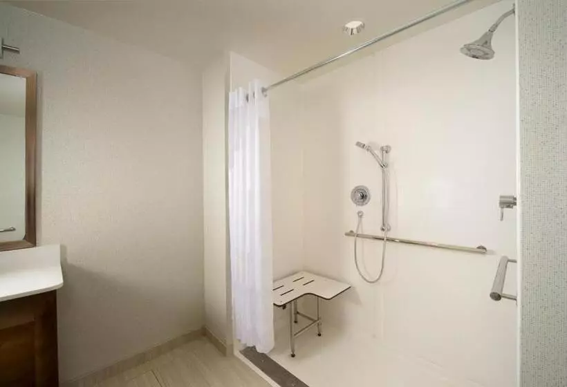 Standard-invahuone King-vuode, Holiday Inn Express & Suites Bay City, An Ihg