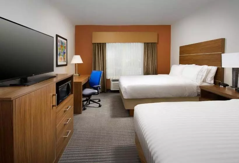 Standard-invahuone King-vuode, Holiday Inn Express & Suites Bay City, An Ihg
