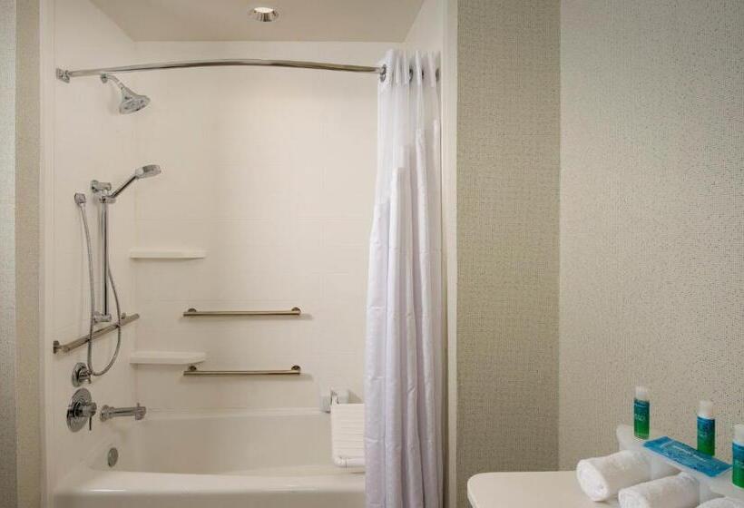 Suite Adaptada per a persones amb mobilitat reduïda, Holiday Inn Express & Suites Bay City, An Ihg