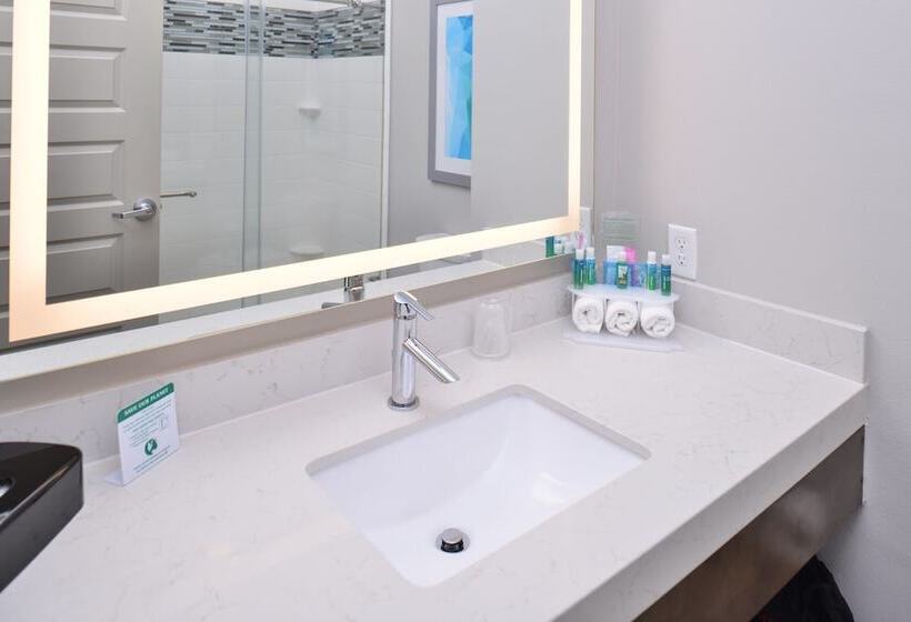 جناح لذوى الاحتياجات الخاصة, Holiday Inn Express & Suites Houston E   Pasadena By Ihg