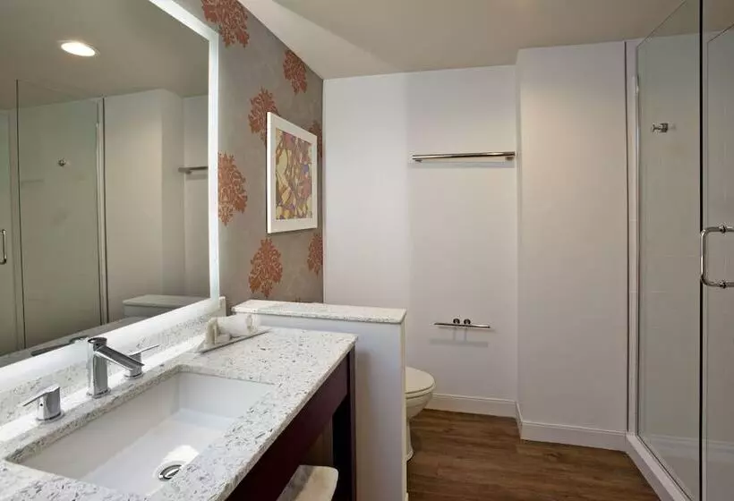 身障者適用ダブルベッド付きスタンダードルーム, Indigo Austin Downtown   University, An Ihg