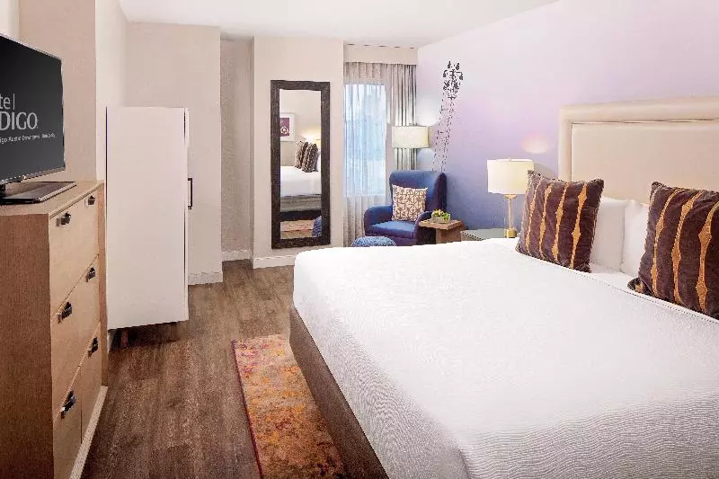 身障者適用スタンダードルーム, Indigo Austin Downtown   University, An Ihg