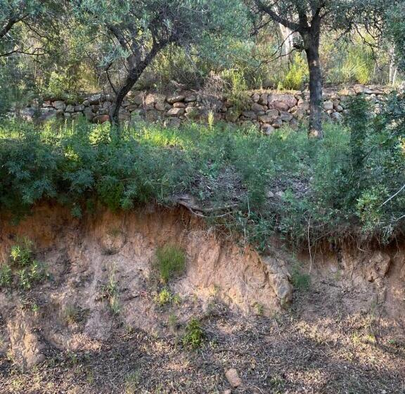 חדר סטנדרט, Logis Hotel Le Lonca