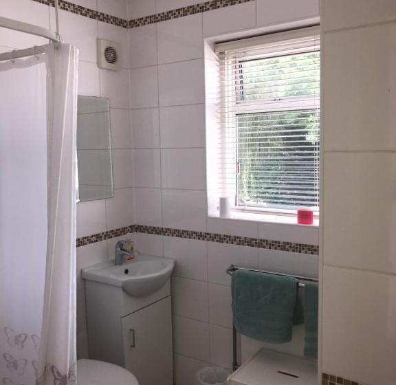 חדר סטנדרט יחיד, Ivy House