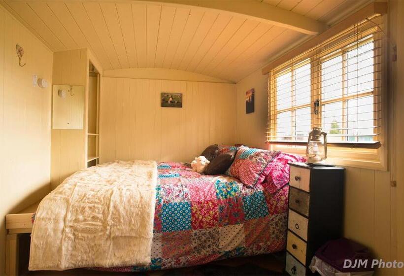 إستوديو قياسى مطلّ علي الحديقة, Fourwinds B&b