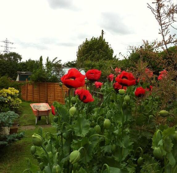 غرفة قياسية ثلاثية مطلة علي الحديقة, Fourwinds B&b