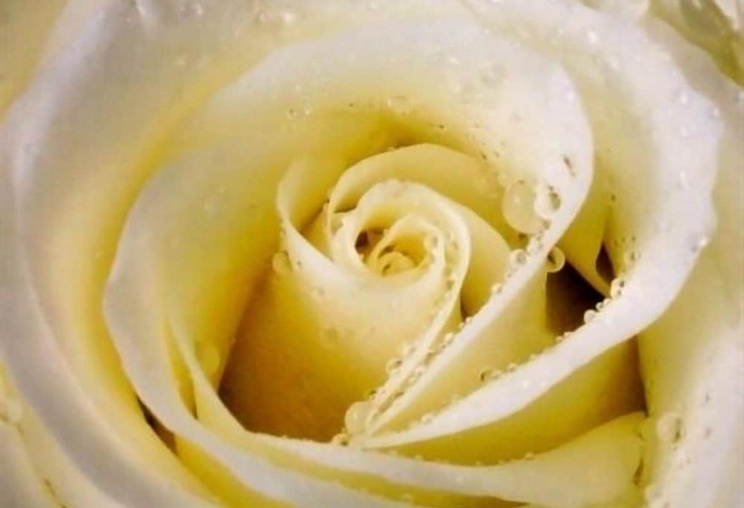 חדר סטנדרט, Eden S Rest Bed And Breakfast