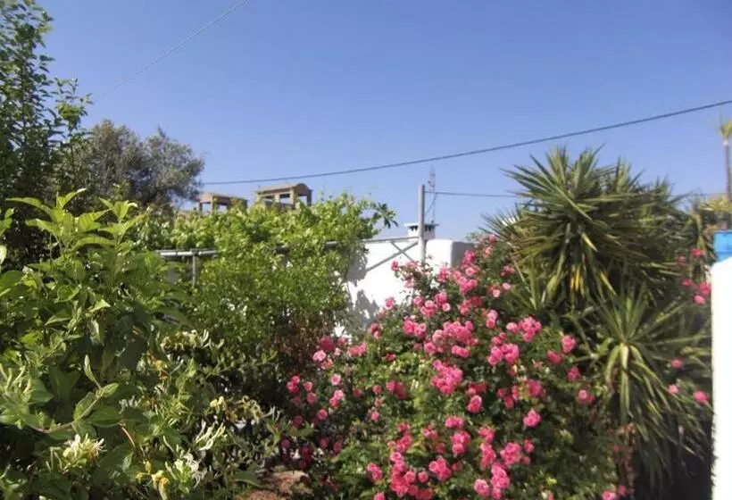 اتاق لوکس, Anthula Sun