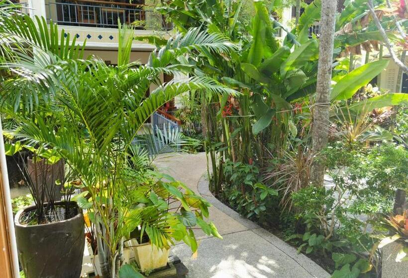 Standard Szoba, Phuket Meet Holiday Hotel Rawai 普吉岛相遇花园度假酒店 拉威店