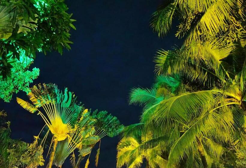 Medencére Néző Standar Háromágyas Szoba, Phuket Meet Holiday Hotel Rawai 普吉岛相遇花园度假酒店 拉威店