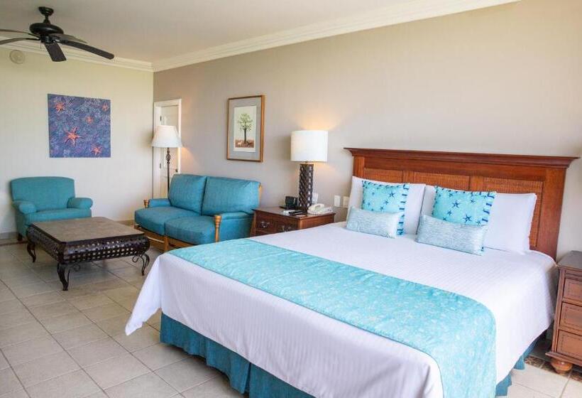 סוויטת ג'וניור, Pierre Mundo Imperial Riviera Diamante Acapulco