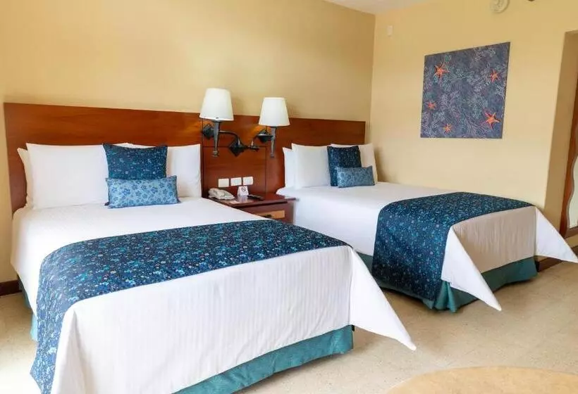 ガーデンビュースーペリアールーム, Pierre Mundo Imperial Riviera Diamante Acapulco