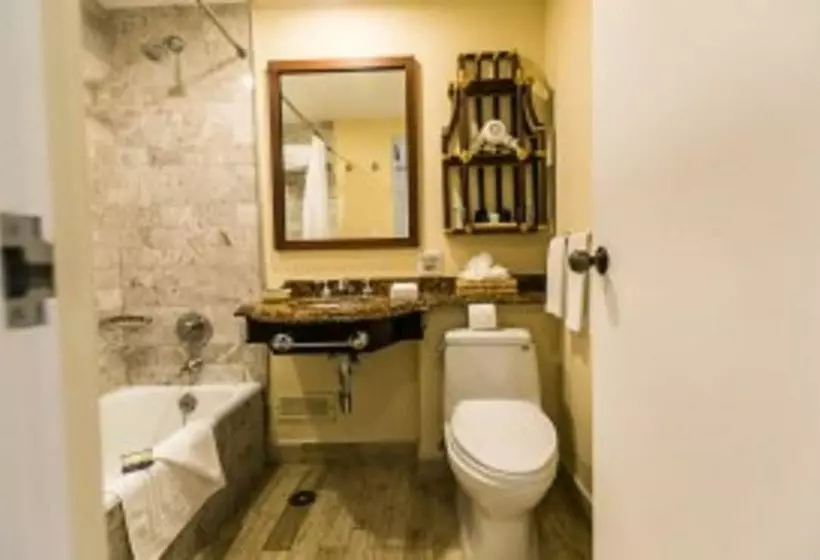 オーシャンビュースーペリアールーム, Pierre Mundo Imperial Riviera Diamante Acapulco