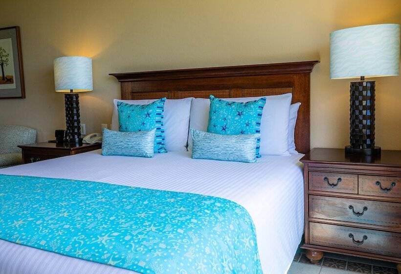 חדר דלוקס נוף לים, Pierre Mundo Imperial Riviera Diamante Acapulco