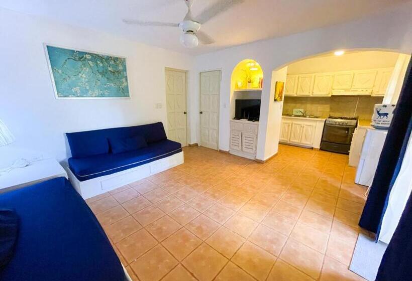 ویلای سوپریور 1 خوابه, Villas Los Corales Long Term Bavaro Bbq Wifi Beach Club & Spa