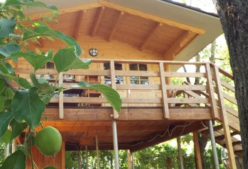 کلبه ییلاقی, Albavillage Hotel Wellness & Camping