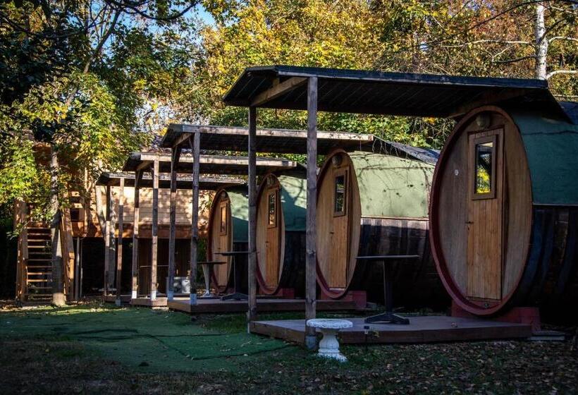 Номер Стандарт Совместная Ванная, Albavillage Hotel Wellness & Camping