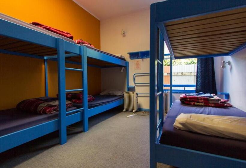 Кровать в Общей Комнате, Sequoia Lodge Backpackers