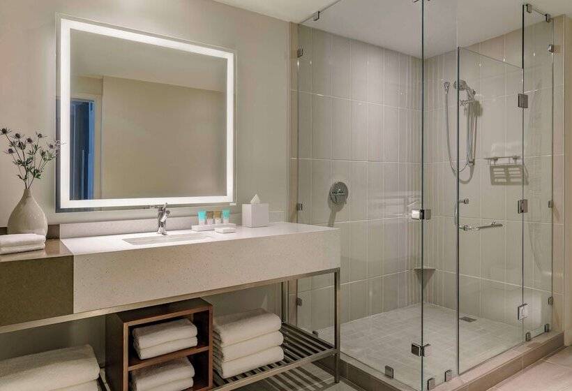 Номер Стандарт, Hyatt Regency Houston Galleria