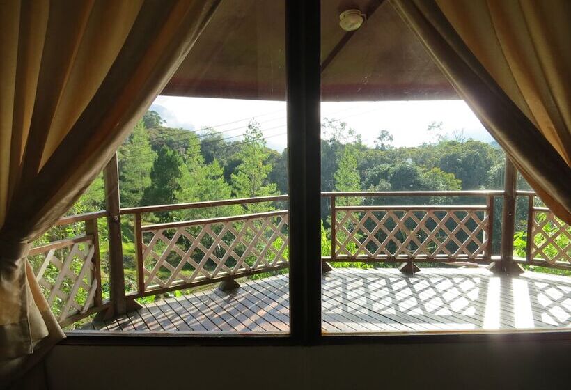 غرفة عائلية, Mile 36 Lodge