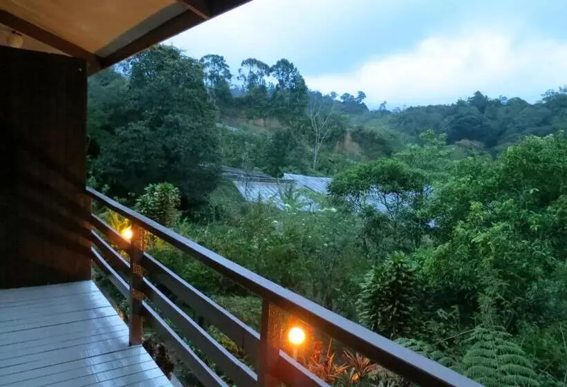 Standard-huone, Mile 36 Lodge