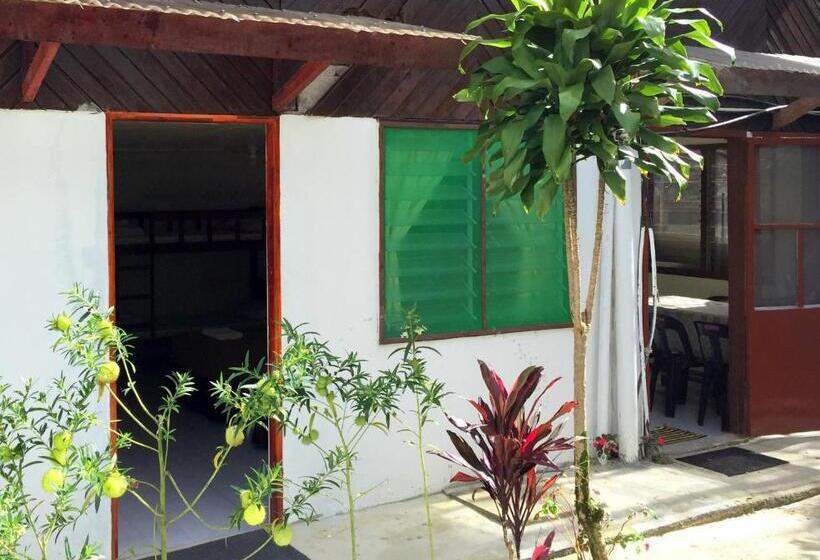 غرفة قياسية رباعية, Mile 36 Lodge