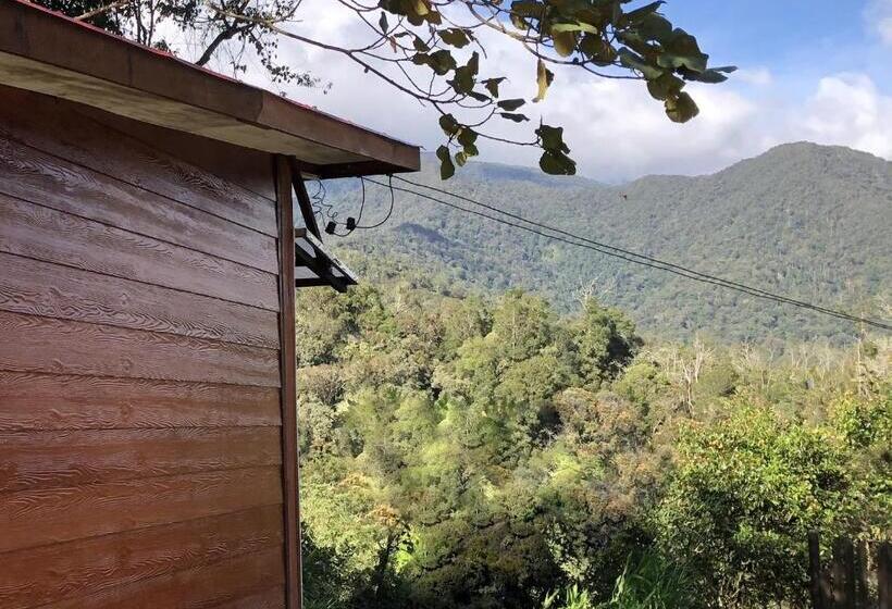 Номер Deluxe Вид на Горы, Mile 36 Lodge