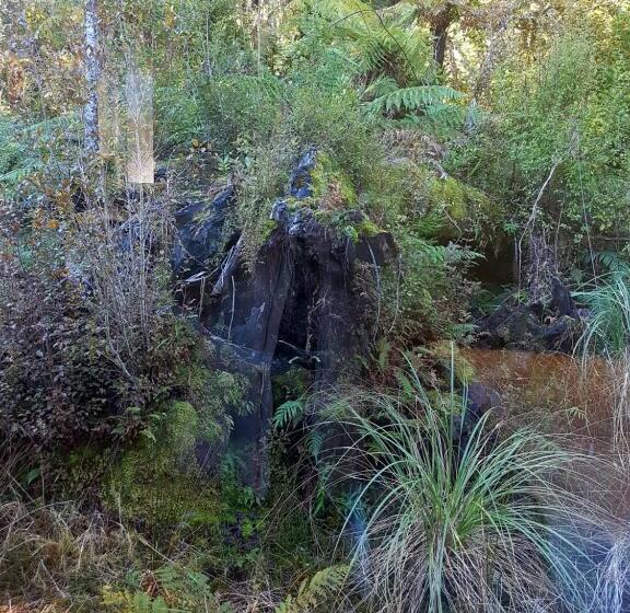 2ベッドルームデラックスアパートメント, Aspen Court Franz Josef