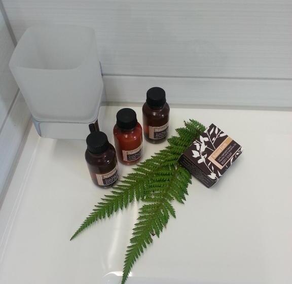 2ベッドルームデラックスアパートメント, Aspen Court Franz Josef