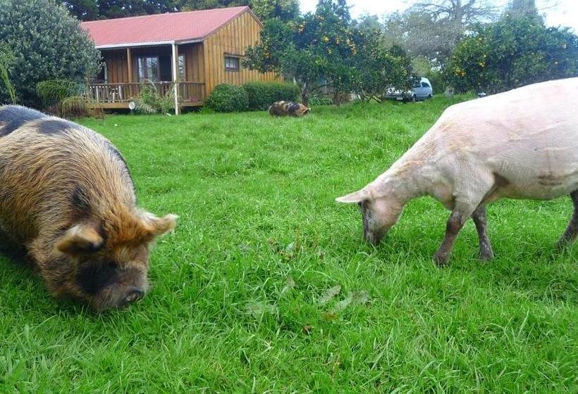 اتاق استاندارد با سرویس بهداشتی مشترک, Relax A Lodge