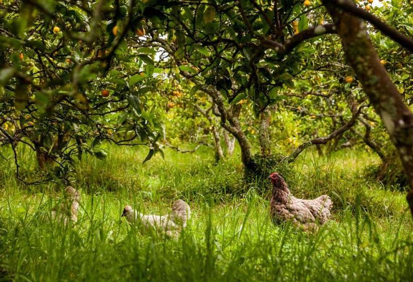 اتاق استاندارد با سرویس بهداشتی مشترک, Relax A Lodge