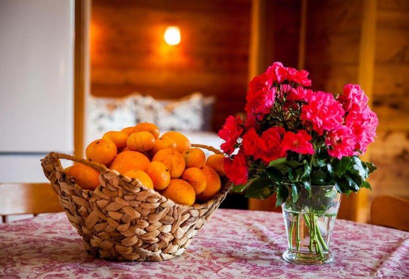 خانه 1 خوابه, Relax A Lodge