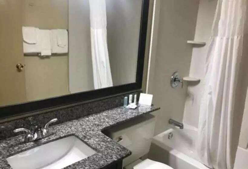 ２ダブルベッドのスタンダードルーム, Clarion Hotel Fort Mill Near Amusement Park