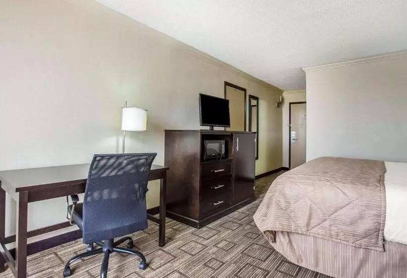 キングサイズベッドのスタンダードルーム, Clarion Hotel Fort Mill Near Amusement Park