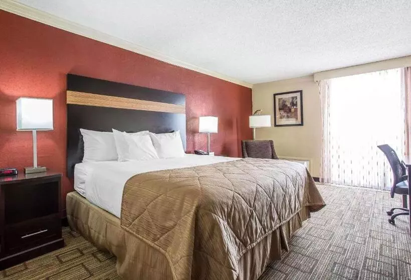 キングサイズベッドのスタンダードルーム, Clarion Hotel Fort Mill Near Amusement Park
