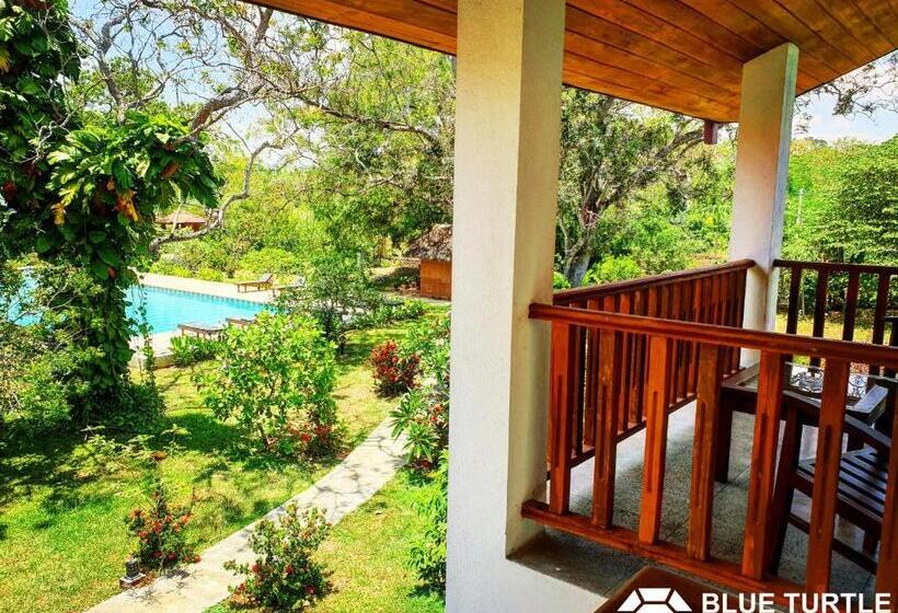 Трехместный Номер Стандарт с Балконом, Blue Turtle