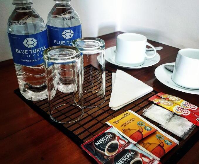 Трехместный Номер Стандарт с Балконом, Blue Turtle