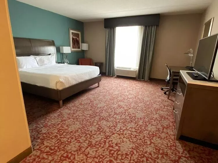 身障者適用キングサイズベッドルーム, Hilton Garden Inn Bristol