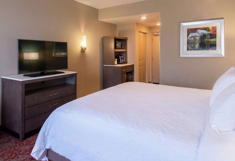 غرفة قياسية سرير كينج لذوى الإحتياجات الخاصة, Hilton Garden Inn Bristol