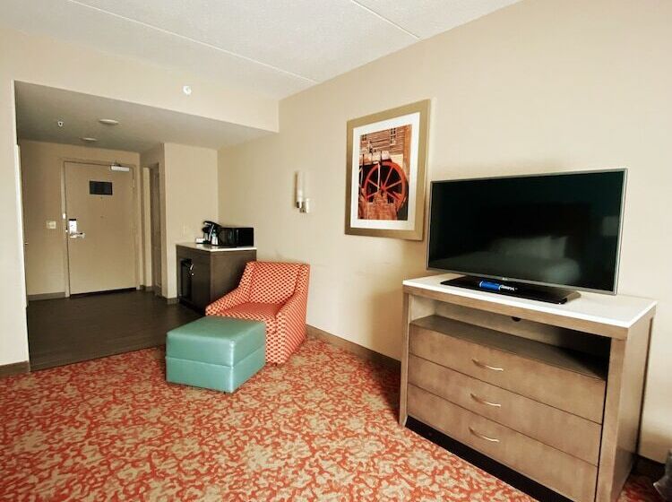 Номер Стандарт Кровать Кинг Адаптированный для Инвалидов, Hilton Garden Inn Bristol