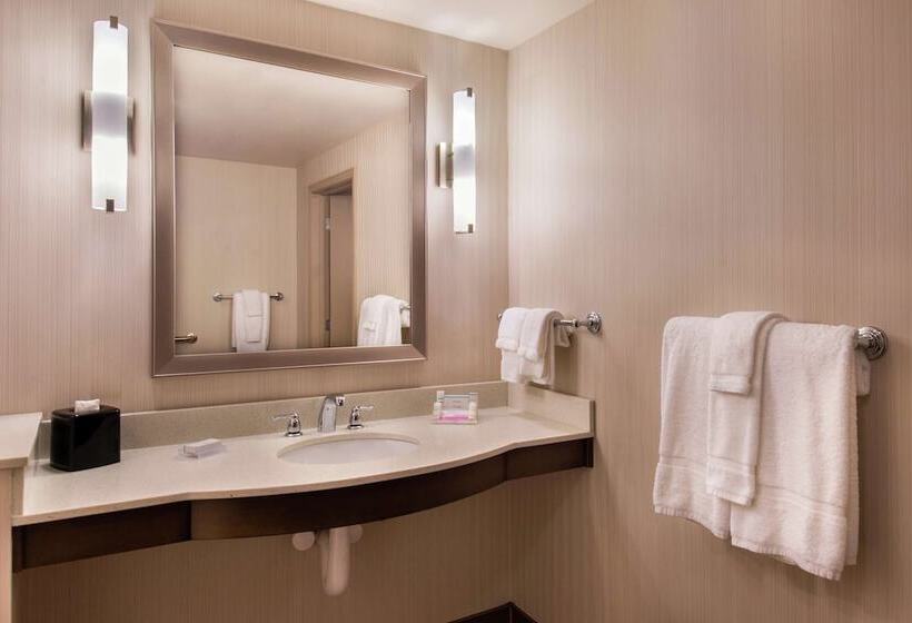 غرفة قياسية سرير كينج لذوى الإحتياجات الخاصة, Hilton Garden Inn Bristol