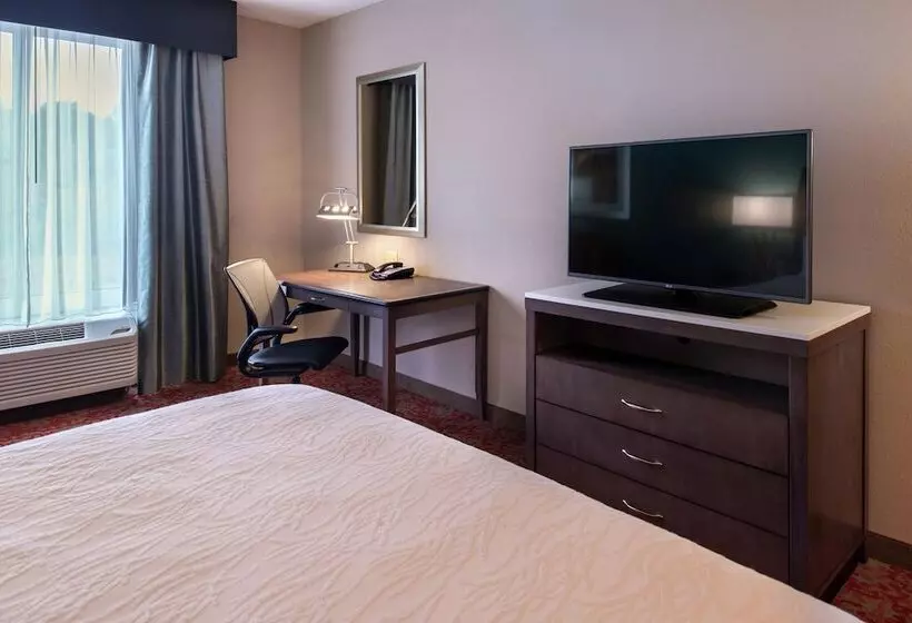 身障者適用キングサイズベッドルーム, Hilton Garden Inn Bristol