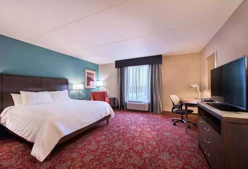 身障者適用キングサイズベッドルーム, Hilton Garden Inn Bristol
