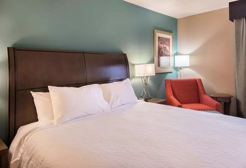 身障者適用キングサイズベッドルーム, Hilton Garden Inn Bristol