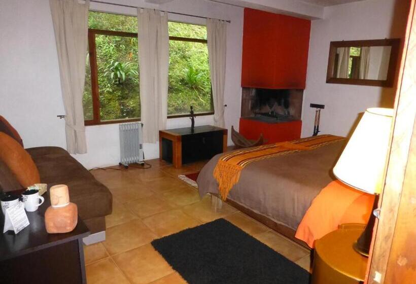 带大床的标准间, La Casa Del Rio