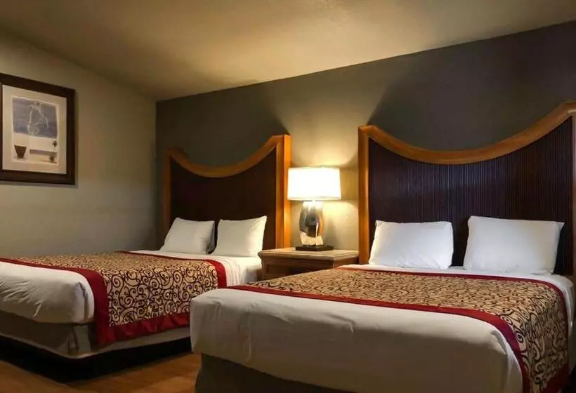 デラックスルーム, Rodeway Inn Flagstaff East Route 66