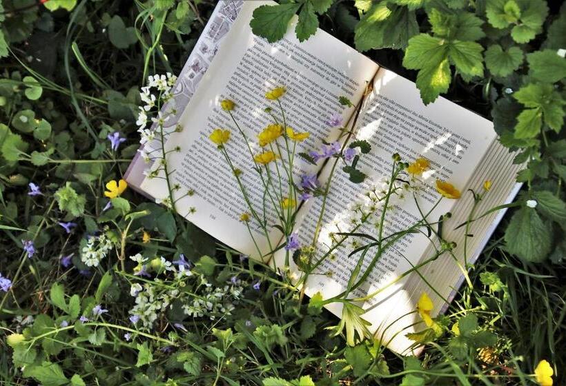 غرفة قياسية, & Bildungszentrum Matt