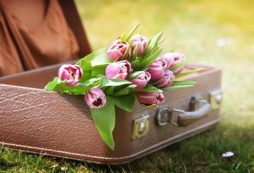 جناح, & Bildungszentrum Matt