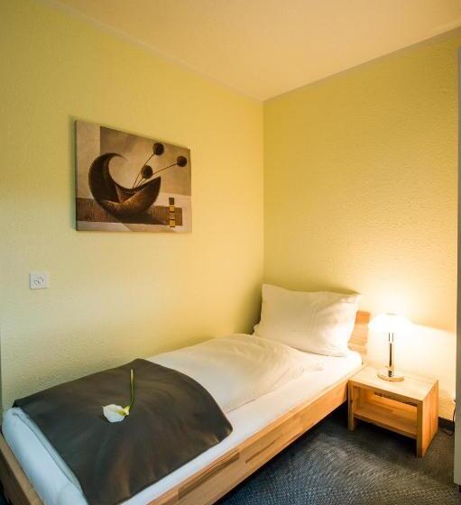 غرفة قياسية فردية, & Bildungszentrum Matt