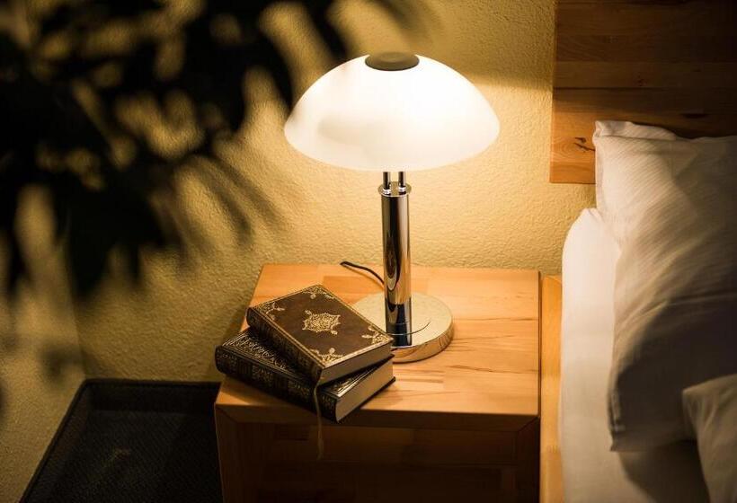 غرفة قياسية, & Bildungszentrum Matt